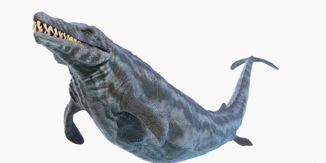 Thung lũng cá voi ở Ai Cập hé lộ hành trình tiến hóa kỳ lạ khi cá voi từng có chân và sống trên đất liền- Ảnh 2. Thung lũng cá voi ở Ai Cập hé lộ hành trình tiến hóa kỳ lạ khi cá voi từng có chân và sống trên đất liền- Ảnh 2.