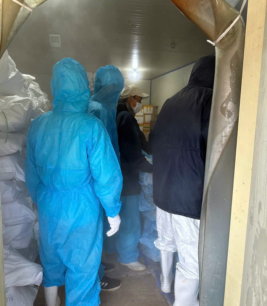 N&oacute;ng: Ti&ecirc;u hủy gần 14.000 hộp 'pat&ecirc; cột đ&egrave;n' l&agrave;m từ thịt lợn bệnh- Ảnh 1.