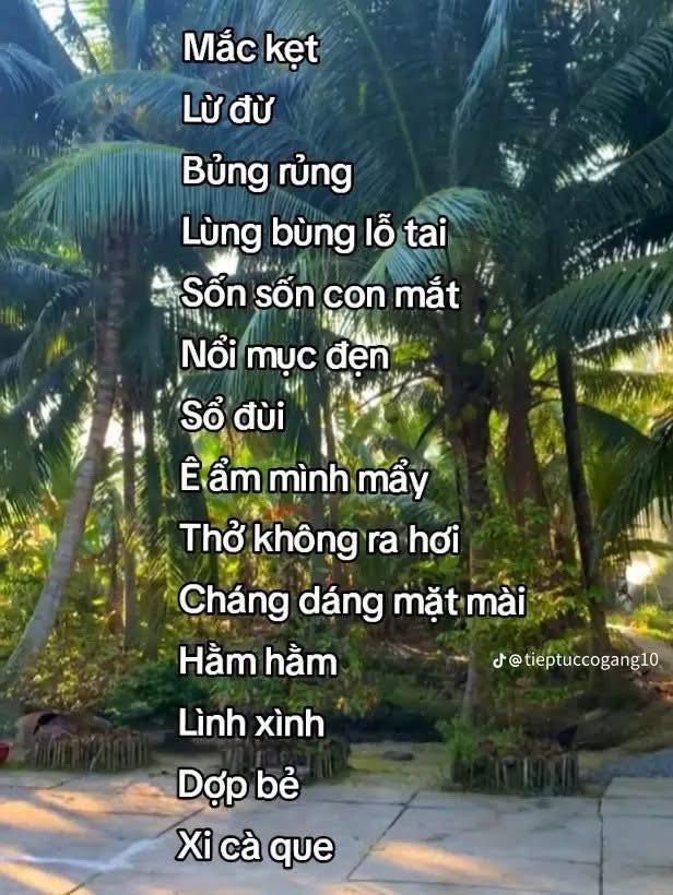 Ai về miền T&acirc;y mở tiệm thuốc m&agrave; chưa cập nhật "từ điển bệnh học" n&agrave;y l&agrave;... g&atilde;y liền!- Ảnh 2.