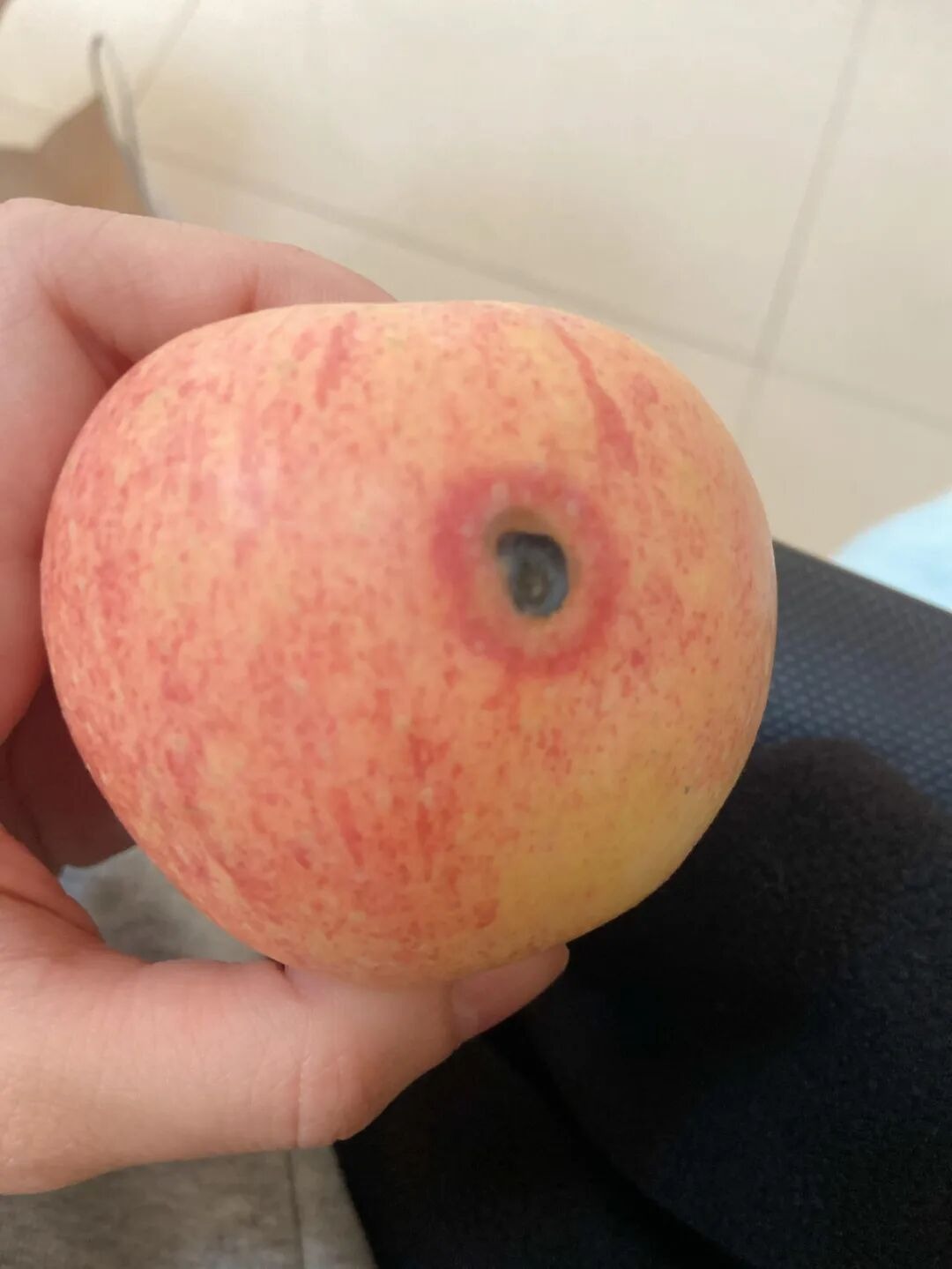 Tha thiết xin bạn: Vứt 7 thứ này ra khỏi nhà, giữ lại chỉ tự làm khổ mình- Ảnh 6. Tha thiết xin bạn: Vứt 7 thứ này ra khỏi nhà, giữ lại chỉ tự làm khổ mình- Ảnh 6.