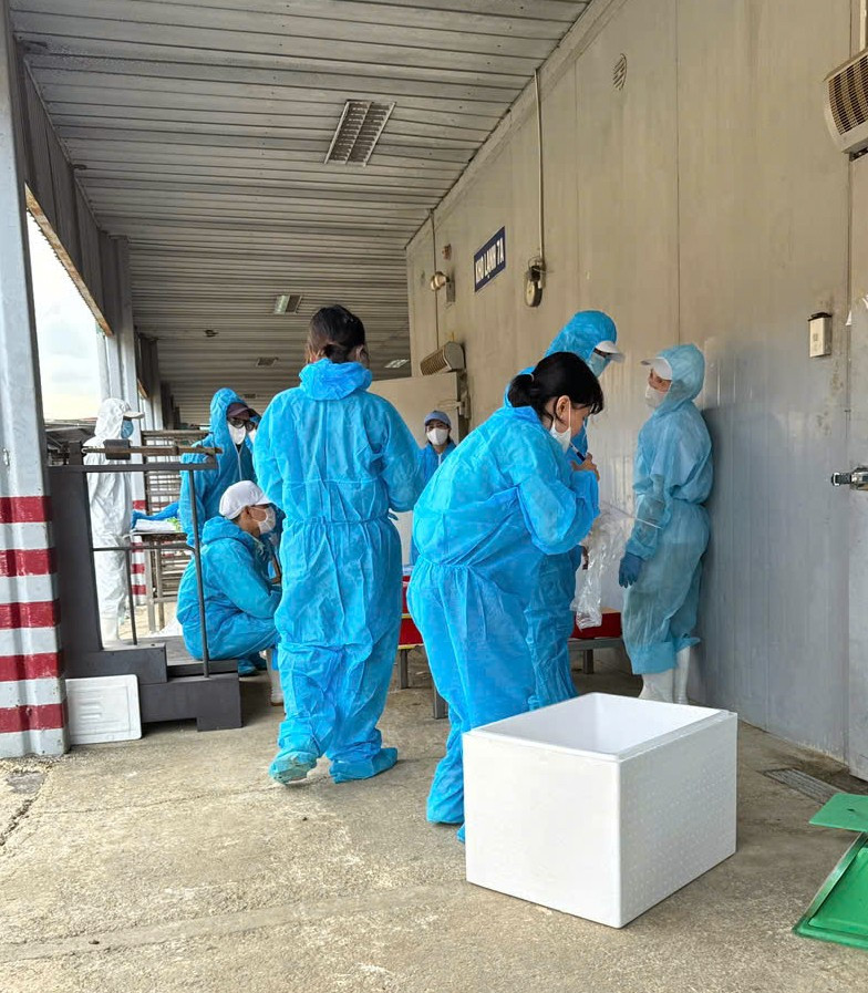 N&oacute;ng: Ti&ecirc;u hủy gần 14.000 hộp 'pat&ecirc; cột đ&egrave;n' l&agrave;m từ thịt lợn bệnh- Ảnh 2.