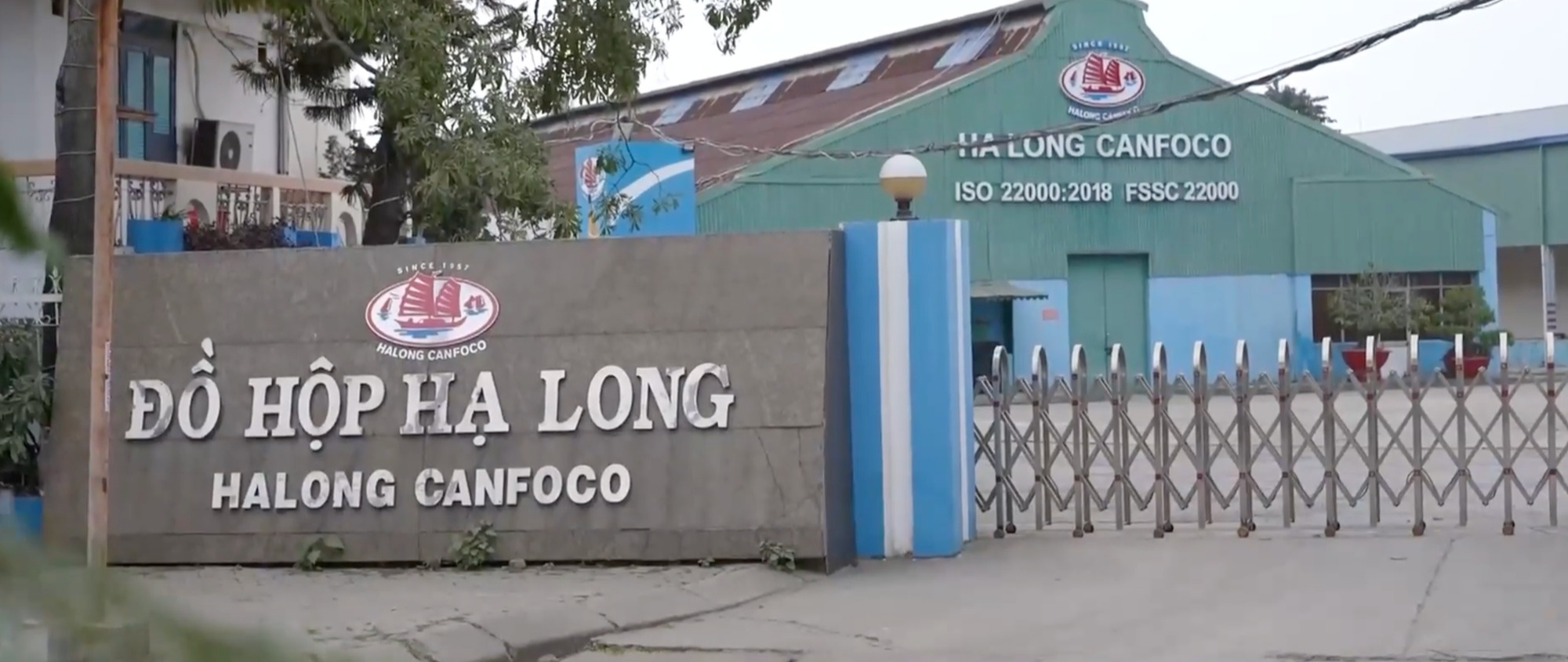 Đồ hộp Hạ Long phốt chấn động, niềm tin của người d&ugrave;ng sụp đổ- Ảnh 1.