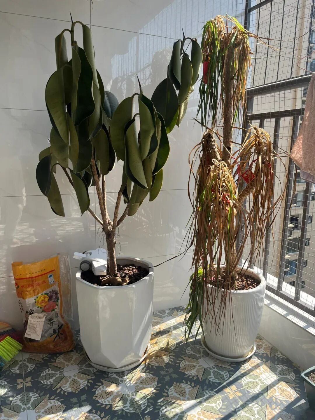 Tha thiết xin bạn: Vứt 7 thứ này ra khỏi nhà, giữ lại chỉ tự làm khổ mình- Ảnh 7. Tha thiết xin bạn: Vứt 7 thứ này ra khỏi nhà, giữ lại chỉ tự làm khổ mình- Ảnh 7.