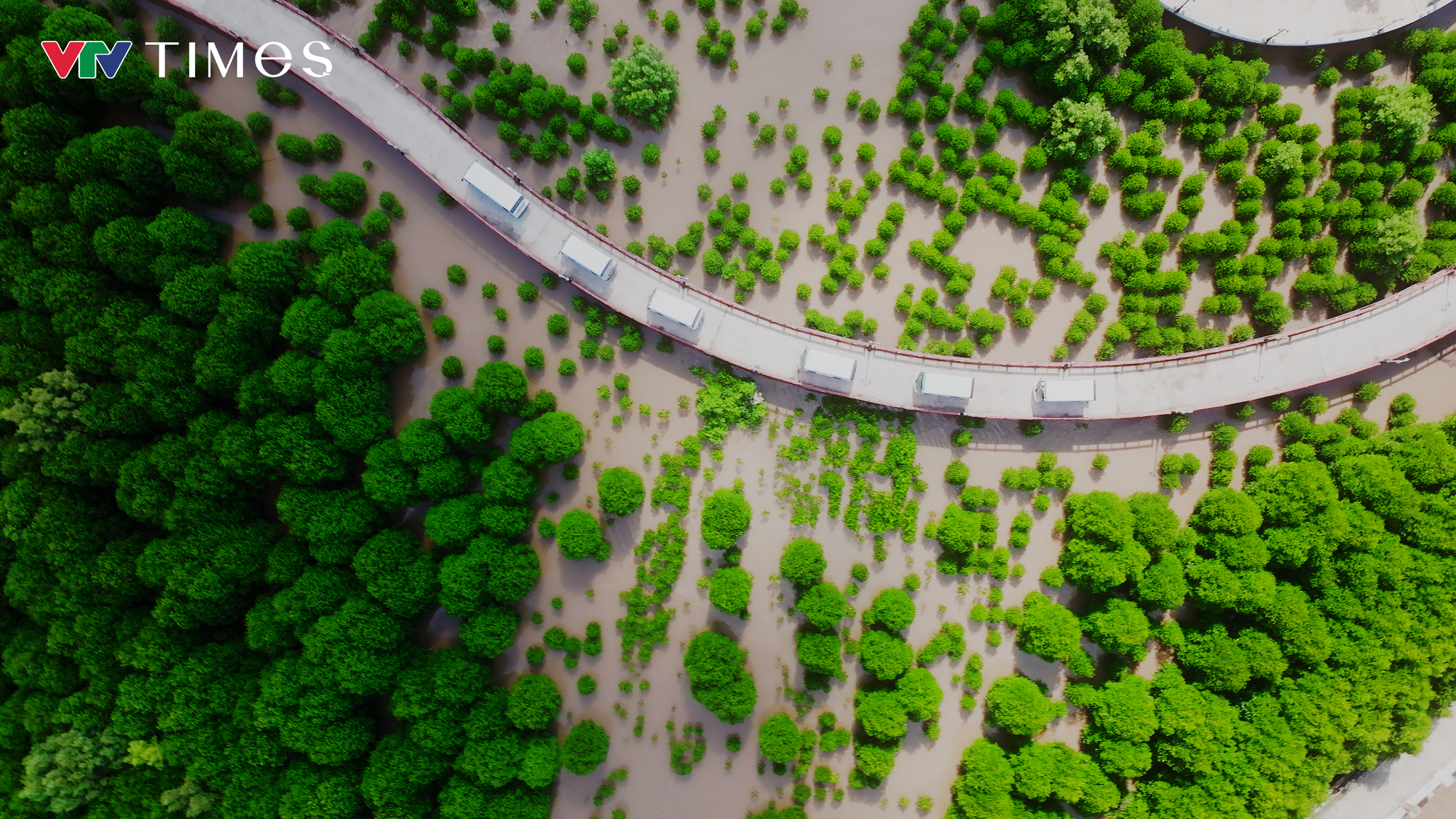 Vườn quốc gia Mũi C&agrave; Mau trước th&aacute;ch thức biến đổi kh&iacute; hậu- Ảnh 6.