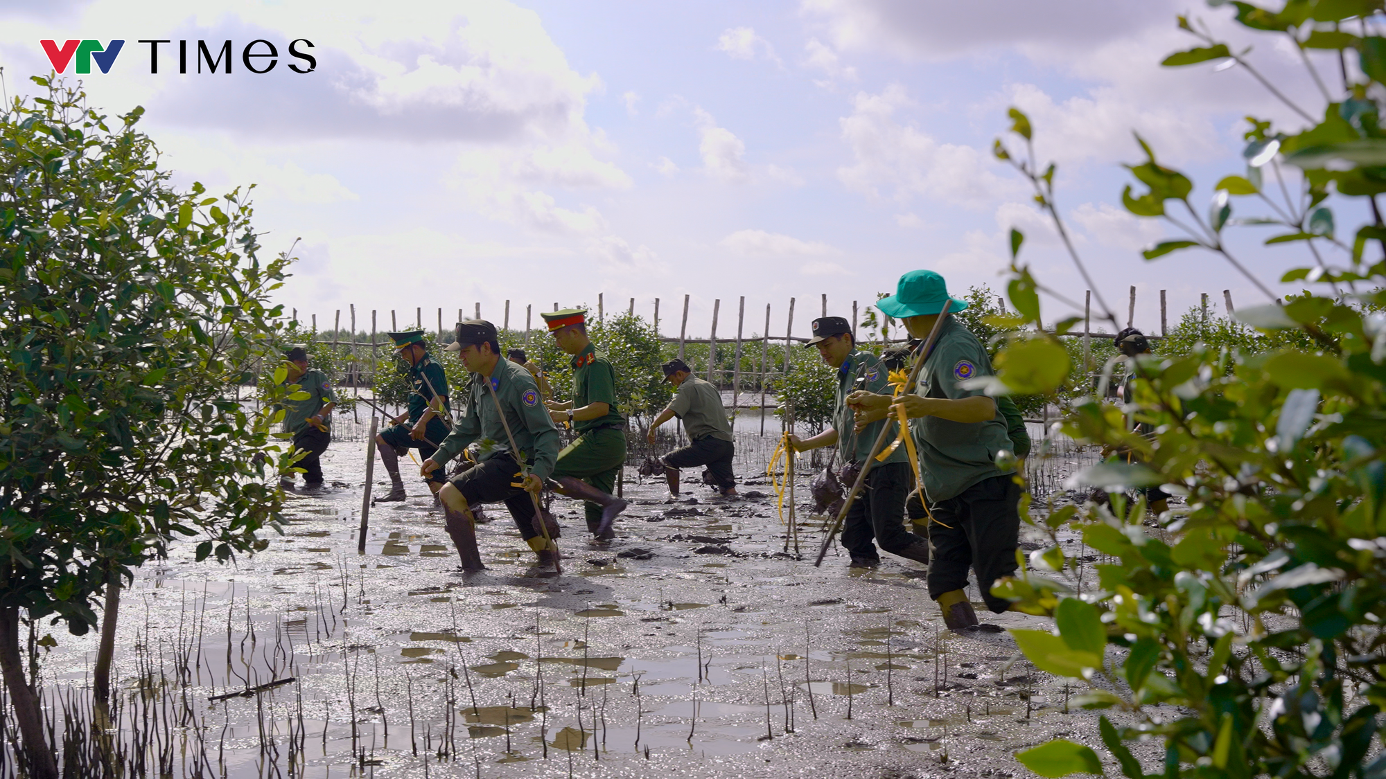 Vườn quốc gia Mũi C&agrave; Mau trước th&aacute;ch thức biến đổi kh&iacute; hậu- Ảnh 3.