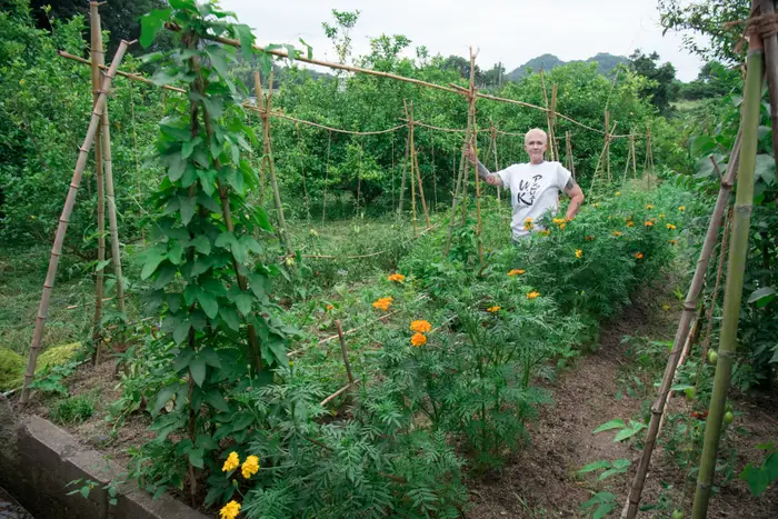 Cặp đ&ocirc;i mua nh&agrave; cũ xuống cấp với gi&aacute; chỉ 170 triệu đồng, ai cũng bảo dở hơi nhưng 1 năm sau đ&atilde; phải h&acirc;m mộ- Ảnh 6.