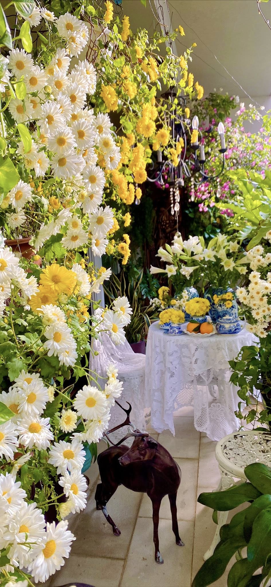 Căn hộ 156m2 ngập hoa của vợ chồng U60 ở Hà Nội - nơi tuổi trung niên chậm lại và an yên- Ảnh 7. Căn hộ 156m2 ngập hoa của vợ chồng U60 ở Hà Nội - nơi tuổi trung niên chậm lại và an yên- Ảnh 7.