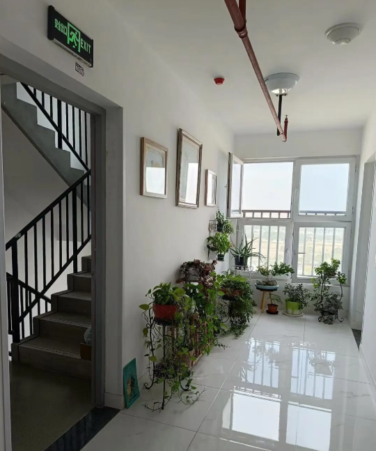 4 thứ ki&ecirc;ng kỵ, người gi&agrave;u tr&aacute;nh đặt trước cửa nh&agrave;- Ảnh 4.