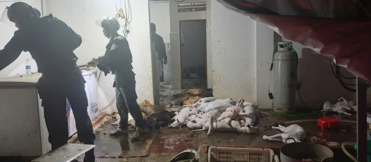 Đột k&iacute;ch "c&ocirc;ng xưởng" giết mổ ch&oacute; trộm ở T&acirc;y Ninh, bắt giữ nhiều đối tượng- Ảnh 7.