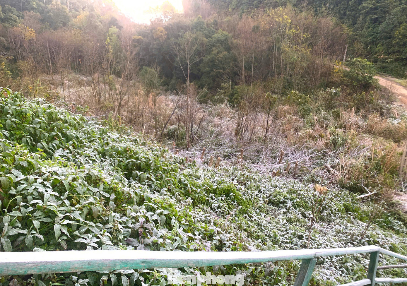 Ngo&agrave;i Fansipan, Mẫu Sơn, h&ocirc;m nay băng gi&aacute; xuất hiện ở cả điểm miền Trung n&agrave;y- Ảnh 3.