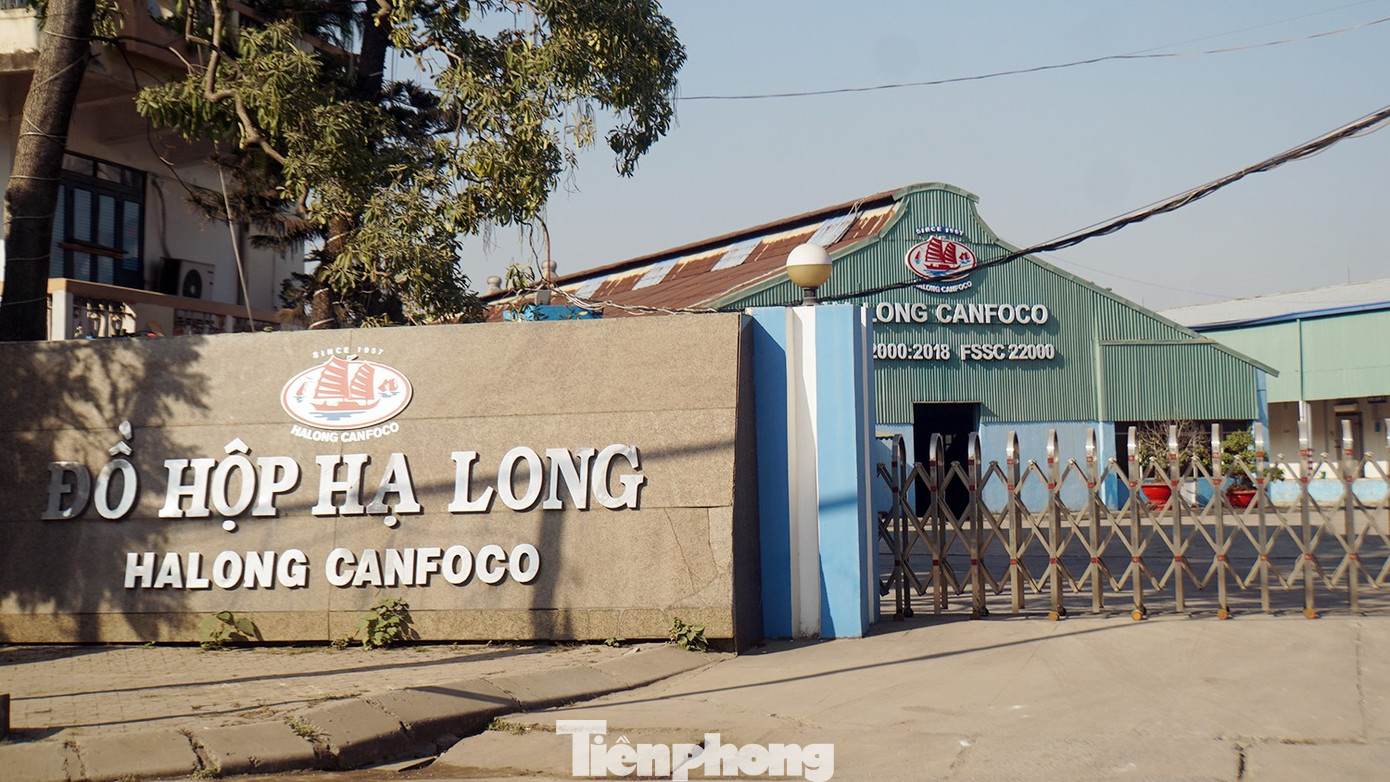 N&oacute;ng: Ti&ecirc;u hủy gần 14.000 hộp 'pat&ecirc; cột đ&egrave;n' l&agrave;m từ thịt lợn bệnh- Ảnh 3.