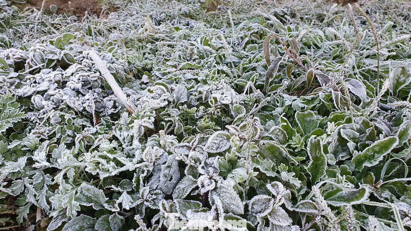 Ngo&agrave;i Fansipan, Mẫu Sơn, h&ocirc;m nay băng gi&aacute; xuất hiện ở cả điểm miền Trung n&agrave;y- Ảnh 2.