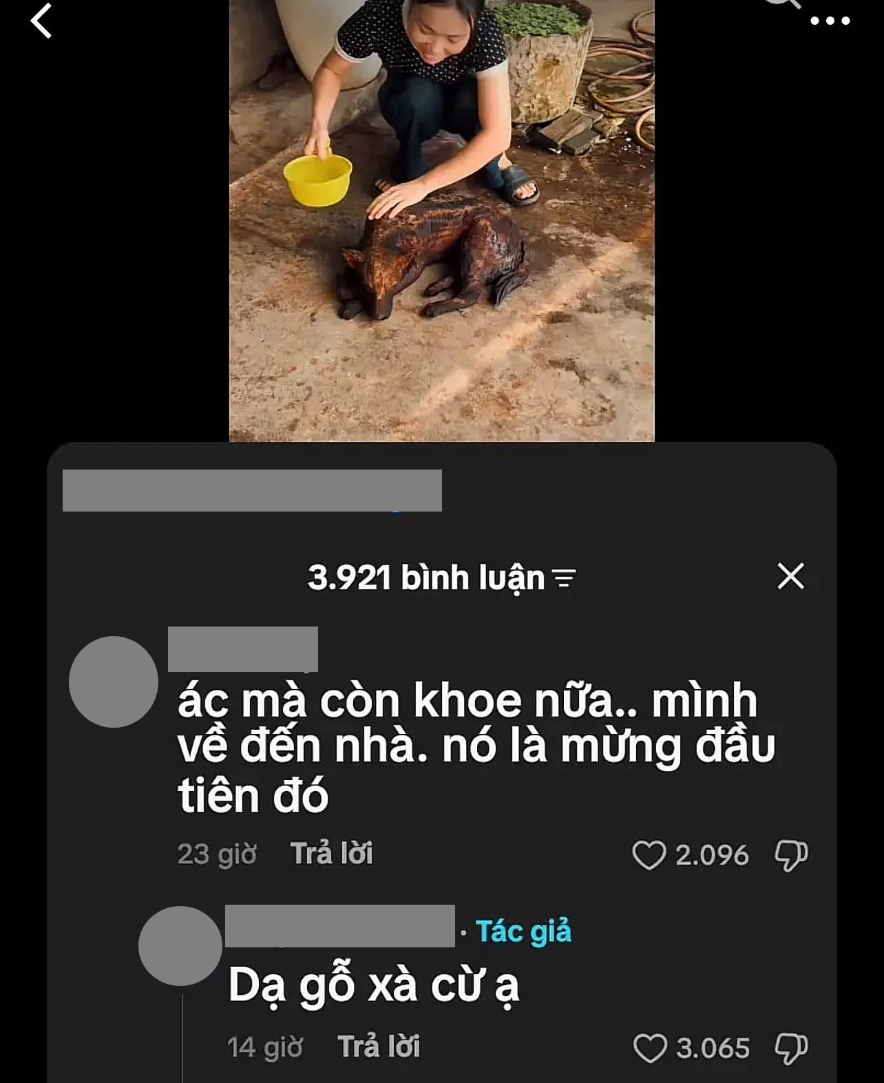 &ldquo;Dạ gỗ x&agrave; cừ ạ&rdquo; l&agrave; g&igrave;?- Ảnh 2.
