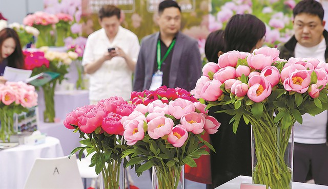 Kỳ lạ s&agrave;n giao dịch đấu gi&aacute; hoa lớn nhất ch&acirc;u &Aacute;, 900 tay bu&ocirc;n kh&ocirc;ng mặc cả, do dự nửa gi&acirc;y l&agrave; ra về tay trắng- Ảnh 6.