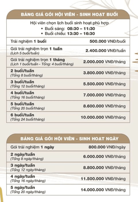 &ldquo;Trường học&rdquo; b&aacute;n tr&uacute; d&agrave;nh cho người cao tuổi tại TP.HCM: C&oacute; gi&aacute;o &aacute;n ri&ecirc;ng, s&aacute;ng đến chiều về, 14 triệu đồng cho 20 ng&agrave;y/th&aacute;ng- Ảnh 6.