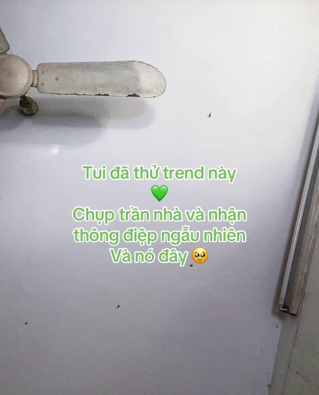 Một chiếc trend đang viral: Chụp ảnh trần nh&agrave; để nhận th&ocirc;ng điệp từ vũ trụ, bạn bị cuộc đời d&iacute; tới mức n&agrave;y rồi sao?- Ảnh 2.