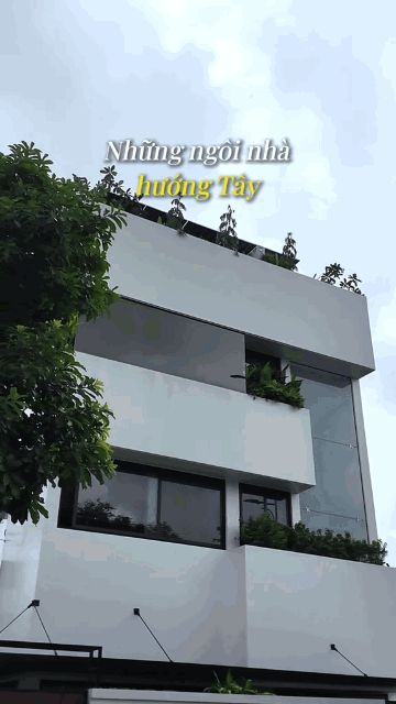 Ca sĩ qu&ecirc; Ninh B&igrave;nh cưới con g&aacute;i đại gia miền T&acirc;y: X&acirc;y biệt thự 500m&sup2; đẹp như resort, vợ vẫn ch&ecirc; 5 thứ- Ảnh 11.