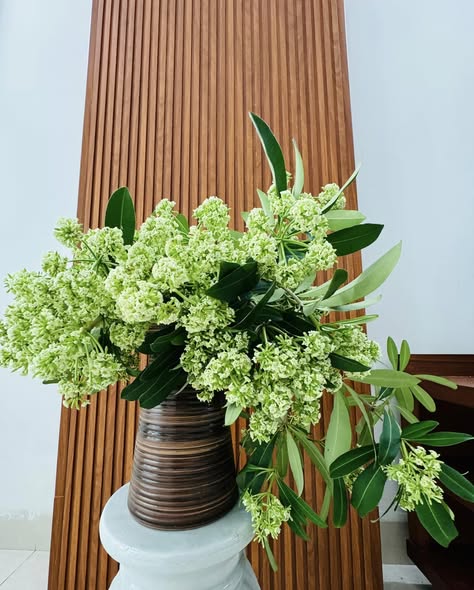 Ai ghét hoa sữa thì mặc, hội chị em mê mùi “đặc sản mùa thu Hà Nội” vẫn quyết tâm chưng bằng được một bình trong nhà- Ảnh 13.
