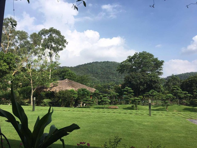 Sao hạng A từng l&agrave; thủ khoa Nhạc viện, ở biệt phủ nh&agrave; vườn rộng 1,2 h&eacute;cta tựa chốn bồng lai- Ảnh 7.