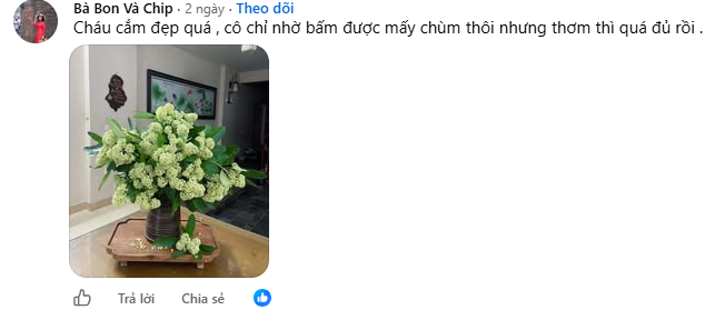 Ai ghét hoa sữa thì mặc, hội chị em mê mùi “đặc sản mùa thu Hà Nội” vẫn quyết tâm chưng bằng được một bình trong nhà- Ảnh 2.
