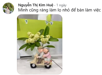 Ai ghét hoa sữa thì mặc, hội chị em mê mùi “đặc sản mùa thu Hà Nội” vẫn quyết tâm chưng bằng được một bình trong nhà- Ảnh 1.