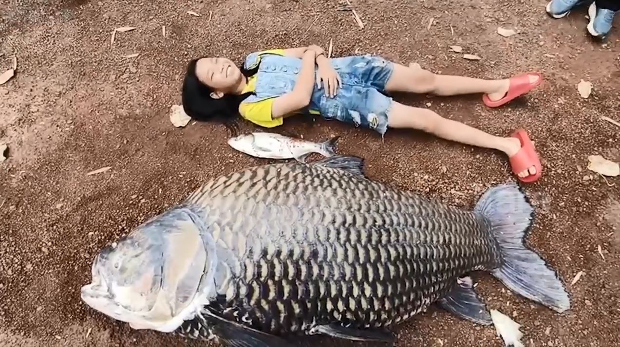 Người d&acirc;n bắt được con c&aacute; ch&eacute;p khổng lồ nặng 100kg tr&ecirc;n s&ocirc;ng - Ảnh 1.