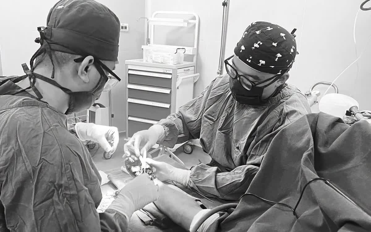 Bảo tồn b&agrave;n tay gần đứt rời cho nam c&ocirc;ng nh&acirc;n - Ảnh 1.