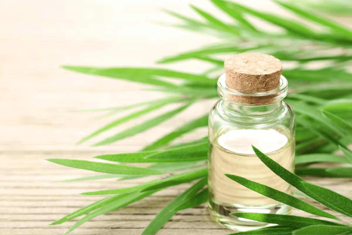 C&acirc;u hỏi Ai L&agrave; Triệu Ph&uacute; khiến ai đi m&aacute;y bay cũng giật m&igrave;nh: &ldquo;Nước mắm hay dầu tr&agrave;m mới l&agrave; h&agrave;ng h&oacute;a nguy hiểm?&rdquo;- Ảnh 2.