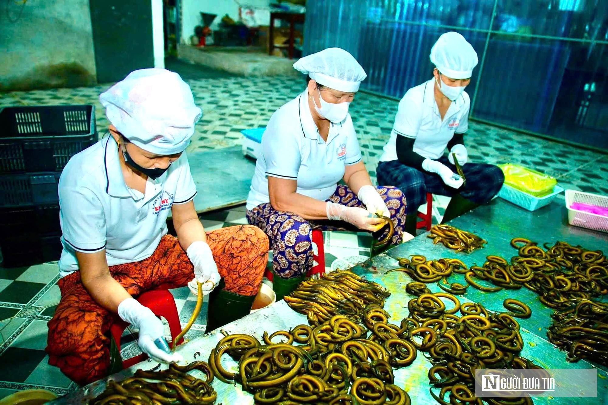 Bất ngờ về l&agrave;ng nghề chế biến con "đặc sản" thu về h&agrave;ng trăm tỷ đồng mỗi năm- Ảnh 1.
