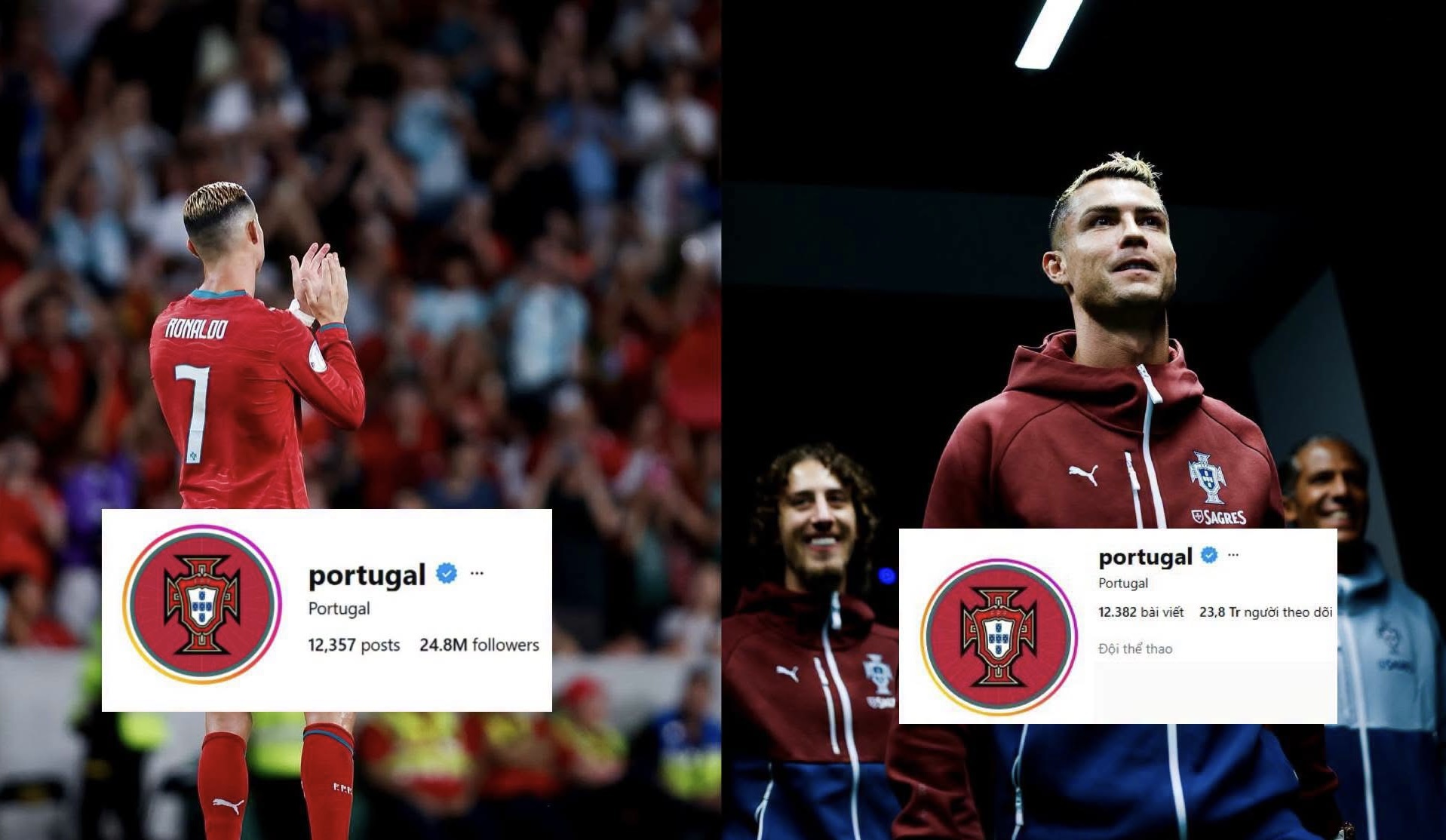 Ronaldo "dứt &aacute;o ra đi", trang MXH của LĐBĐ Bồ Đ&agrave;o Nha lập tức "bay m&agrave;u" hơn 1 triệu lượ theo d&otilde;i - Ảnh 1.