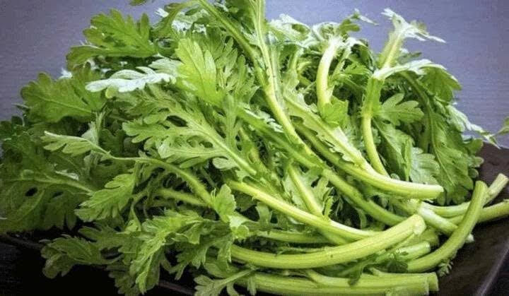 Th&aacute;ng Mười đến, d&ugrave;ng 4 lọai rau v&agrave;ng kh&ocirc;ng thuốc trừ s&acirc;u để nấu m&oacute;n ngon - Ảnh 1.