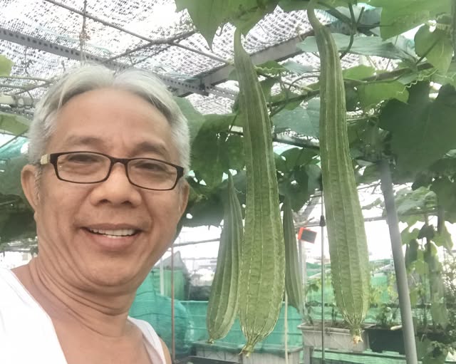 Nam nghệ sĩ "cưới trước y&ecirc;u sau" với vợ k&iacute;n tiếng, sống trong nh&agrave; phố 3 tầng, chỉ đam m&ecirc; trồng rau- Ảnh 5.