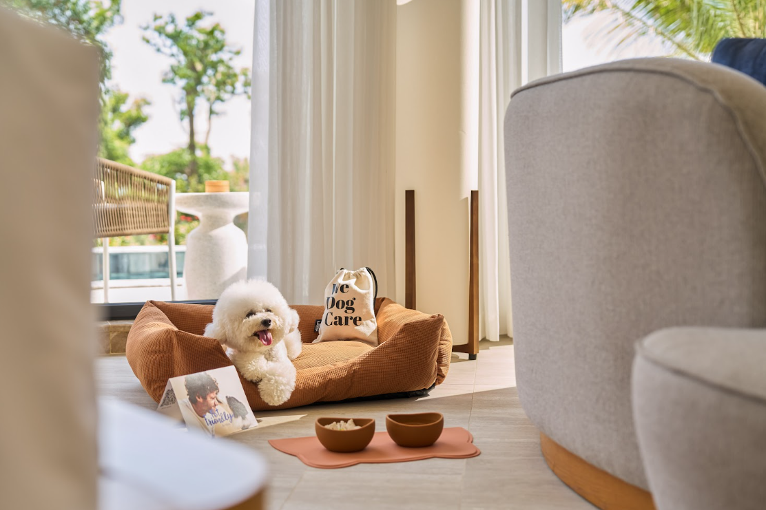 &rlm;Lộ diện resort mới toanh tại Cam Ranh: Hồ bơi v&ocirc; cực s&aacute;t biển, ăn uống thả ga trọn g&oacute;i v&agrave; được dẫn theo th&uacute; cưng đi mu&ocirc;n nơi&rlm; - Ảnh 2.
