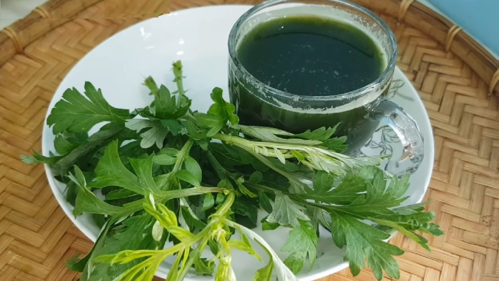 Việt Nam c&oacute; loại &ldquo;rau thượng hạng&rdquo;: Cực &iacute;t thuốc trừ s&acirc;u, v&agrave;i ngh&igrave;n cả b&oacute; nhưng lợi &iacute;ch sức khỏe nhiều đến giật m&igrave;nh - Ảnh 5.