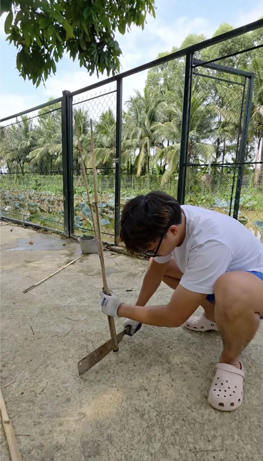 Căn nh&agrave; ngoại &ocirc; xanh mướt, ngập tr&agrave;n hoa v&agrave; c&acirc;y ăn quả,.. của Cục trưởng Xu&acirc;n Bắc - Ảnh 4.