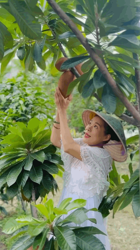 Ca sĩ Việt SN 1972 l&agrave; Ph&oacute; chủ tịch tập đo&agrave;n: Sở hữu cơ ngơi 10.000m&sup2; g&acirc;y cho&aacute;ng, sống y&ecirc;n b&igrave;nh với th&uacute; vui điền vi&ecirc;n- Ảnh 4.