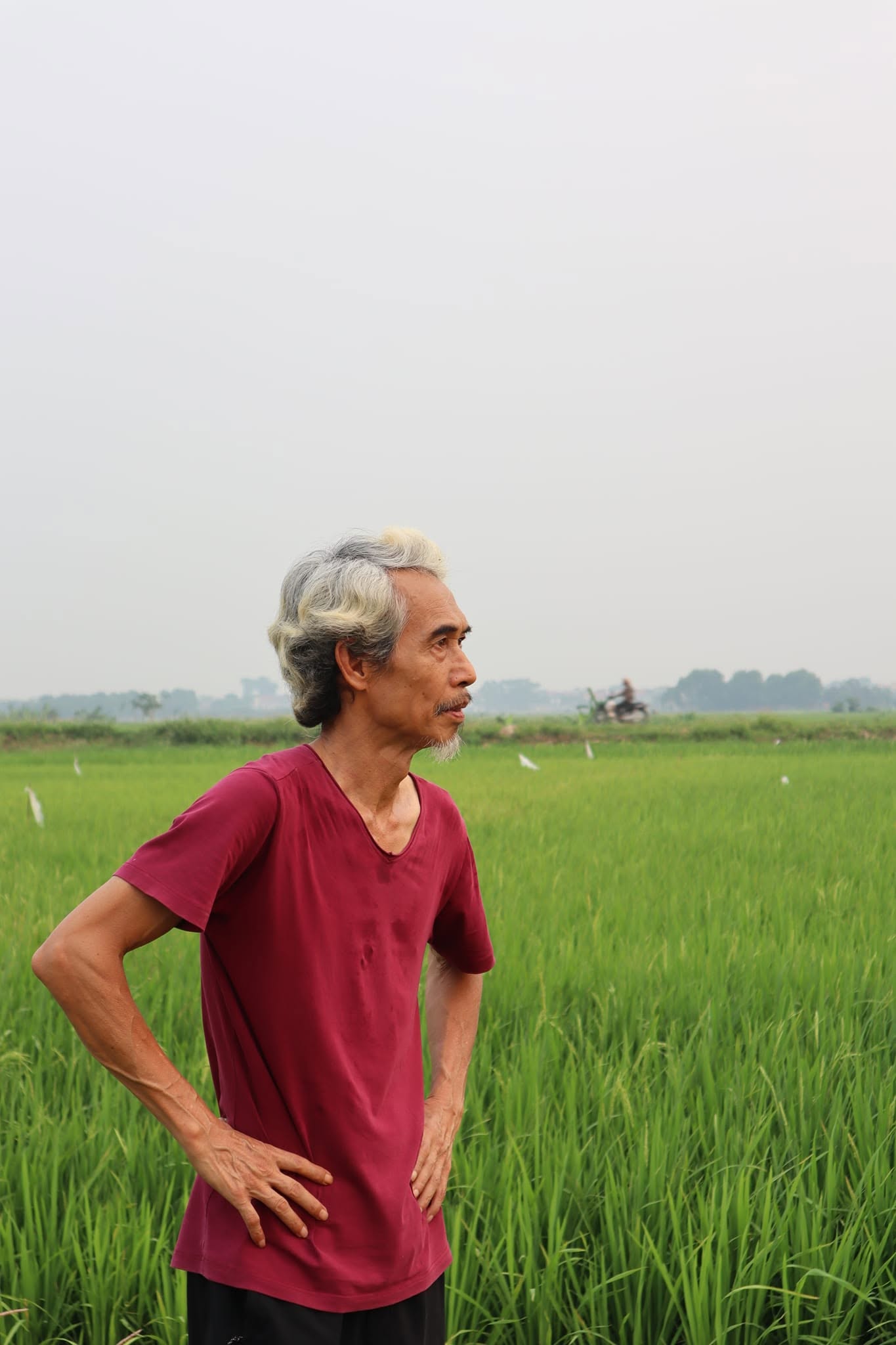 "NSƯT khắc khổ nhất màn ảnh" sống bên vợ kém 25 tuổi ở đường Thụy Khuê, lương 7,5 triệu/tháng- Ảnh 2.
