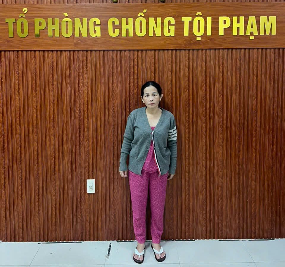 Bắt đối tượng truy n&atilde; L&ecirc; Thị Cẩm Loan- Ảnh 1.