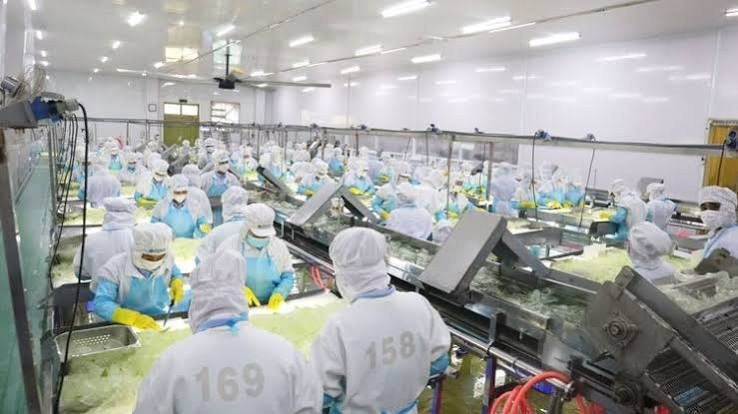 &ldquo;&Ocirc;ng lớn&rdquo; sản xuất nha đam, thạch dừa GC Food (GCF) bị phạt gần nửa tỷ đồng v&igrave; loạt vi phạm- Ảnh 1.