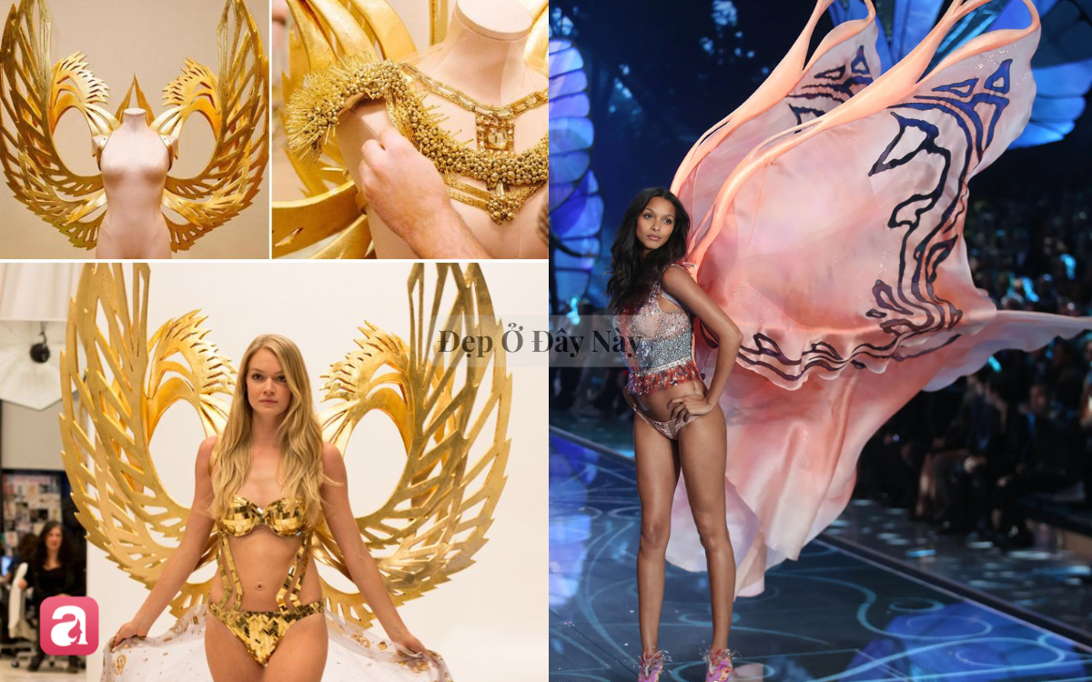 Sau show diễn, những đ&ocirc;i c&aacute;nh thi&ecirc;n thần của Victoria's Secret sẽ đi đ&acirc;u về đ&acirc;u?- Ảnh 4.