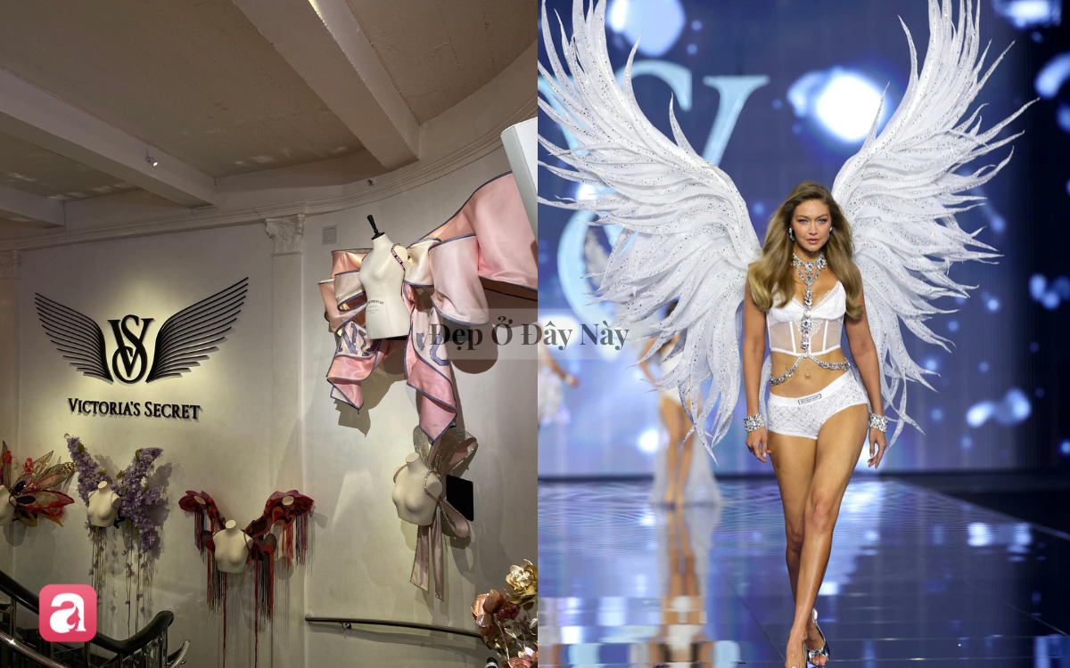 Sau show diễn, những đ&ocirc;i c&aacute;nh thi&ecirc;n thần của Victoria's Secret sẽ đi đ&acirc;u về đ&acirc;u?- Ảnh 6.