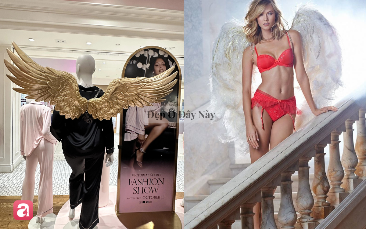 Sau show diễn, những đ&ocirc;i c&aacute;nh thi&ecirc;n thần của Victoria's Secret sẽ đi đ&acirc;u về đ&acirc;u?- Ảnh 7.