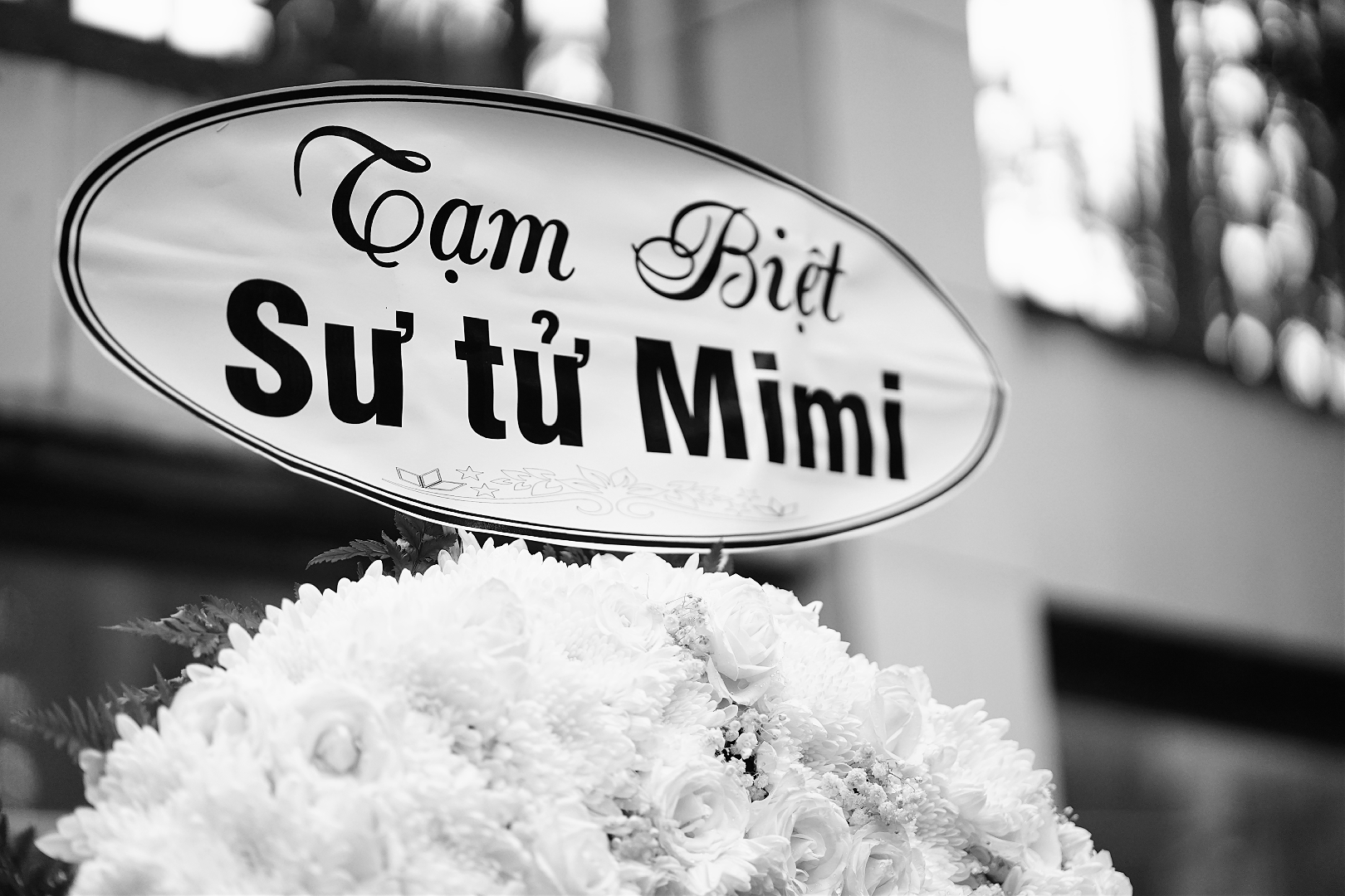 Sư tử trắng Mimi qua đời sau gần 16 năm ở Thảo Cầm Viên, vòng hoa tiễn biệt khiến nhiều người xúc động: “Bạn cũng là tuổi thơ của nhiều người”- Ảnh 5.