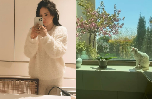 B&ecirc;n trong căn nh&agrave; t&acirc;n h&ocirc;n 342 tỷ đồng của Taeyang - Min Hyo Rin: Sang chảnh l&oacute;a mắt, nh&igrave;n đến h&agrave;ng x&oacute;m m&agrave; cho&aacute;ng- Ảnh 6.