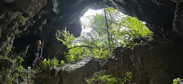 Ph&aacute;t hiện hố sụt s&acirc;u 120m ở Việt Nam nhờ Google Earth, đo&agrave;n th&aacute;m hiểm liền xuống đ&aacute;y v&agrave; thấy điều bất ngờ- Ảnh 5.