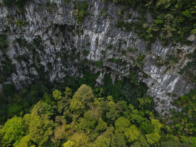 Ph&aacute;t hiện hố sụt s&acirc;u 120m ở Việt Nam nhờ Google Earth, đo&agrave;n th&aacute;m hiểm liền xuống đ&aacute;y v&agrave; thấy điều bất ngờ- Ảnh 7.