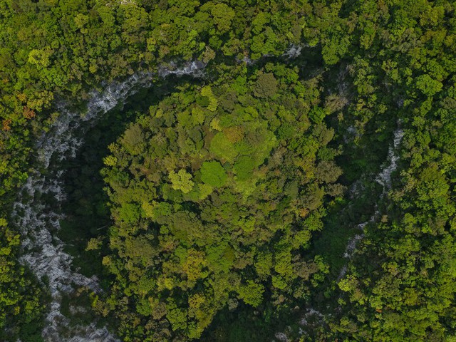 Ph&aacute;t hiện hố sụt s&acirc;u 120m ở Việt Nam nhờ Google Earth, đo&agrave;n th&aacute;m hiểm liền xuống đ&aacute;y v&agrave; thấy điều bất ngờ- Ảnh 3.