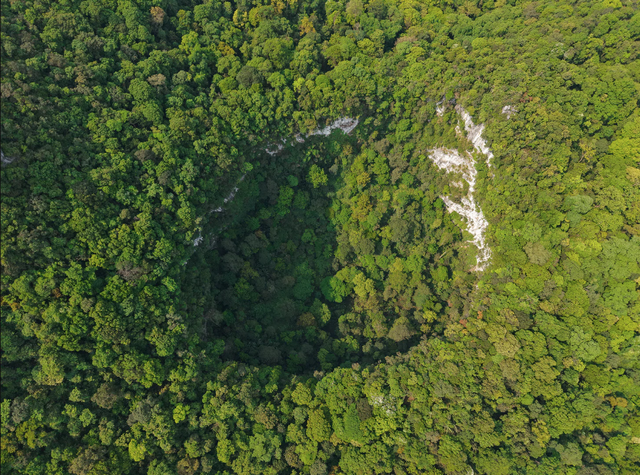 Ph&aacute;t hiện hố sụt s&acirc;u 120m ở Việt Nam nhờ Google Earth, đo&agrave;n th&aacute;m hiểm liền xuống đ&aacute;y v&agrave; thấy điều bất ngờ- Ảnh 1.