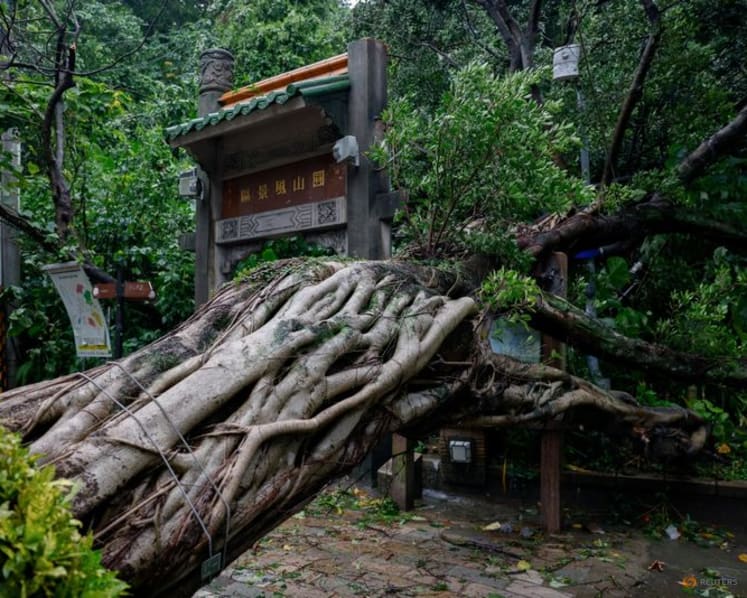 Cảnh tượng trong si&ecirc;u b&atilde;o mạnh nhất thế giới 2026 Champi khiến 1 người thiệt mạng, 527 người bị thương- Ảnh 2.