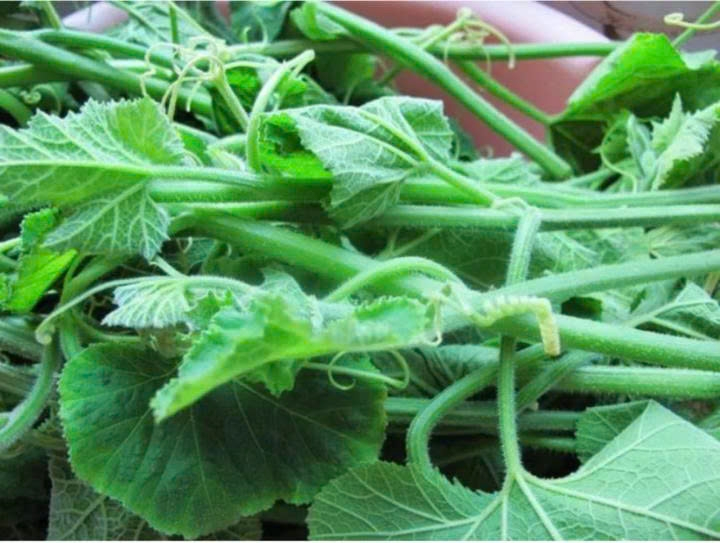 6 loại rau &iacute;t ngậm thuốc trừ s&acirc;u, vừa ngon vừa rẻ, dễ t&igrave;m mua ở chợ Việt- Ảnh 2.
